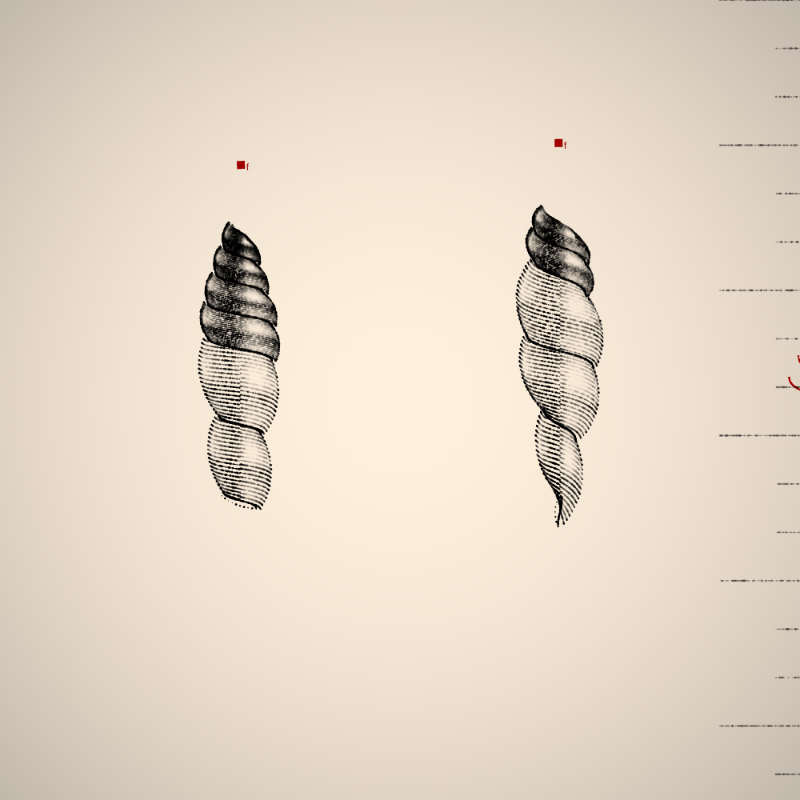 Two Specimen #5 static token preview