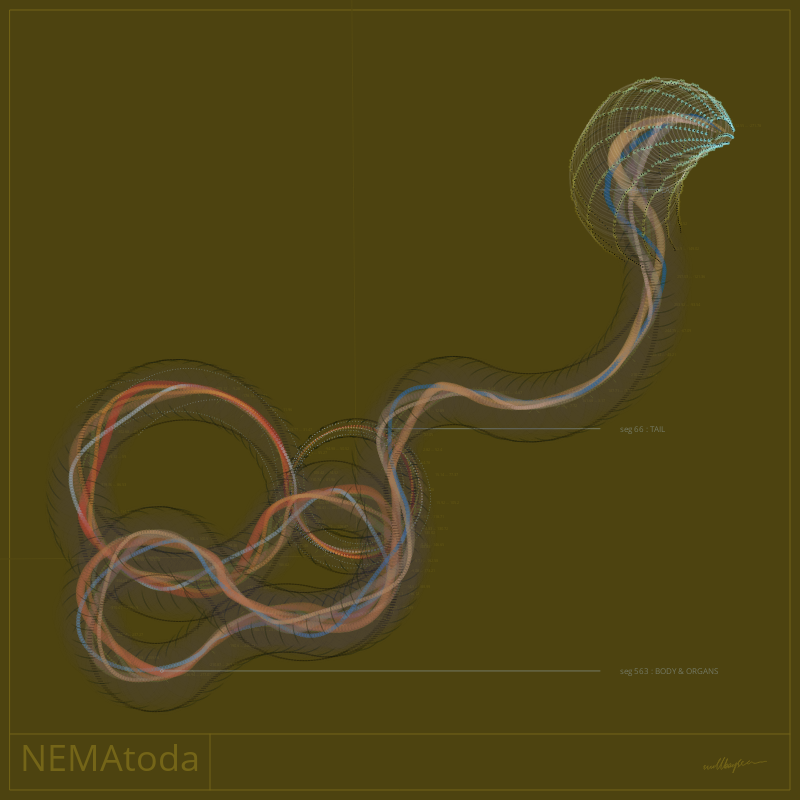 NEMA #22 static token preview
