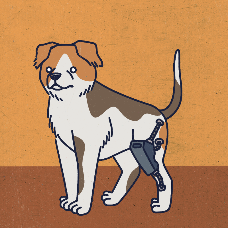 future_dogs #23 static token preview