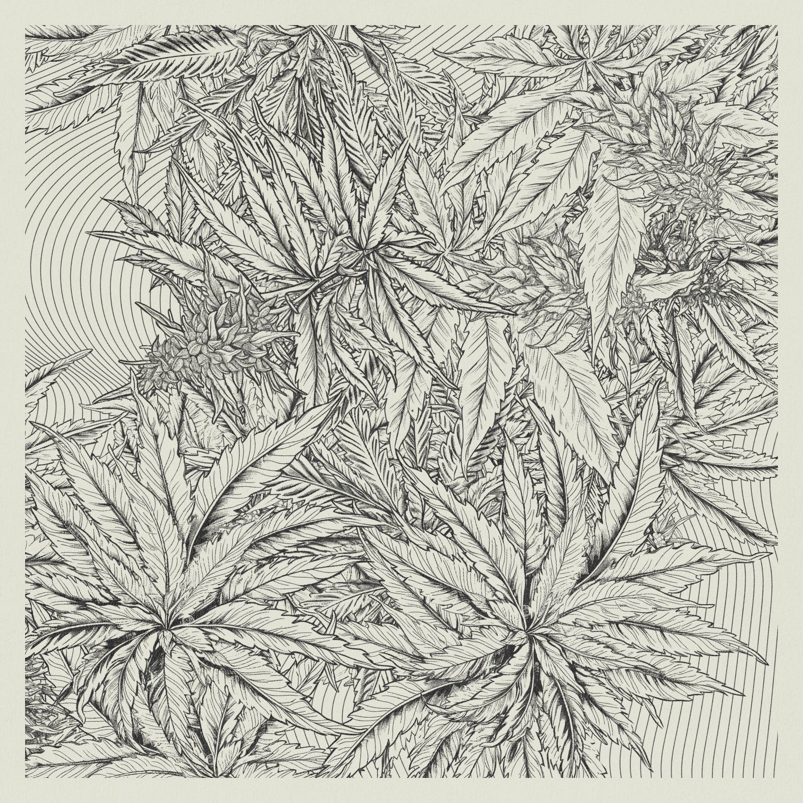 zancannabis #21 static token preview