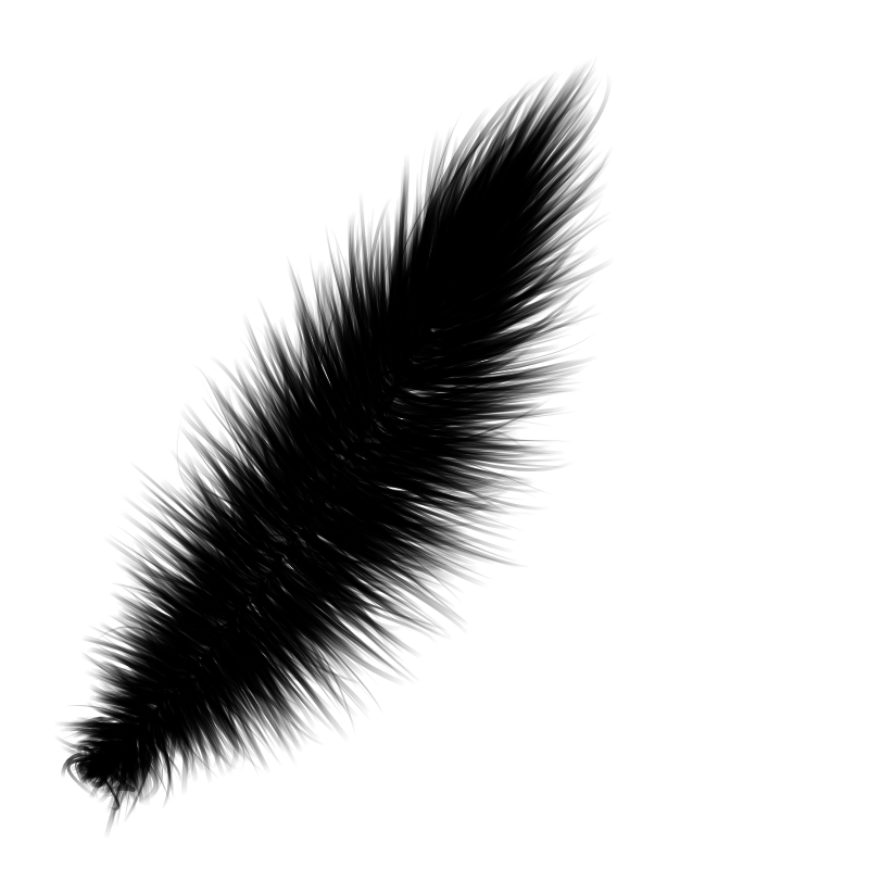 Random Feather #4 static token preview
