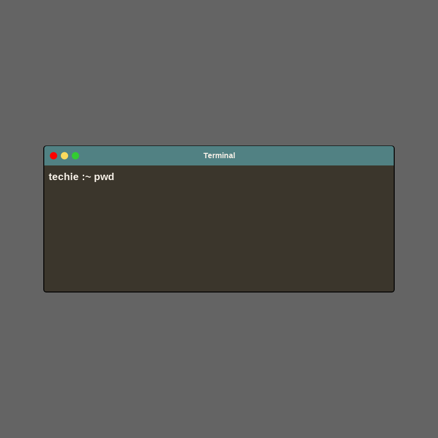 termina in frame #6 static token preview