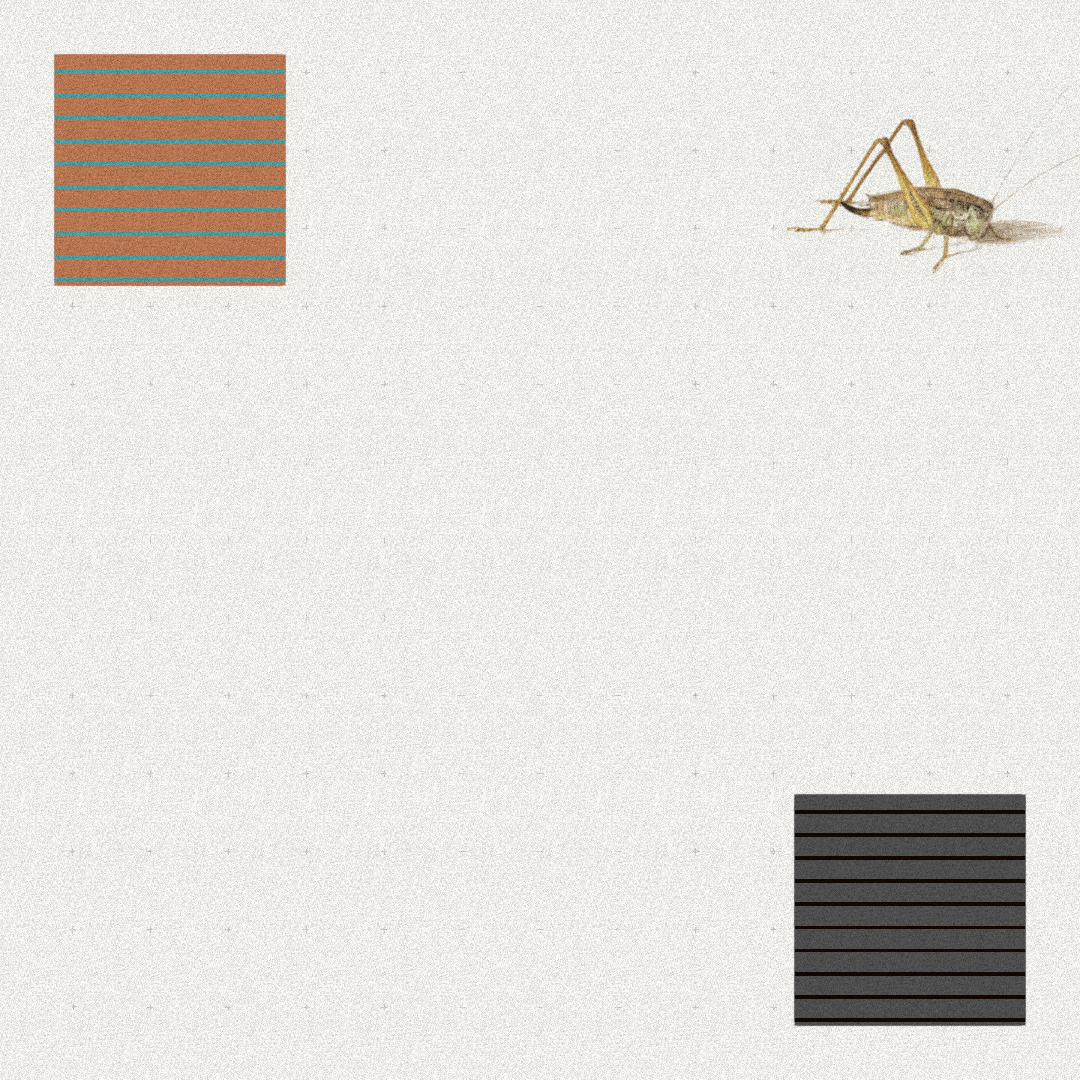 Grasshopper #8 static token preview