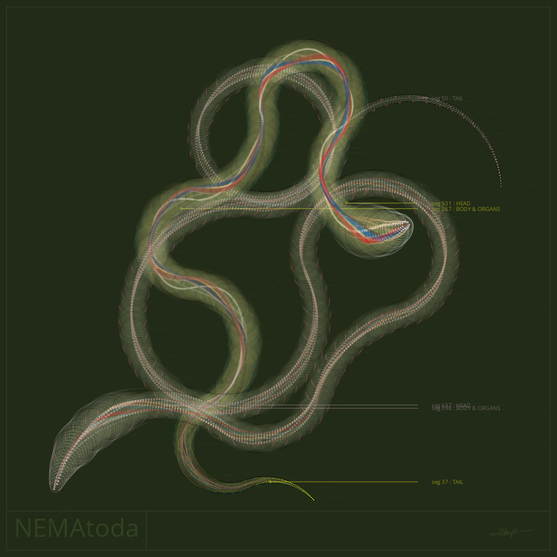 NEMA #16 static token preview