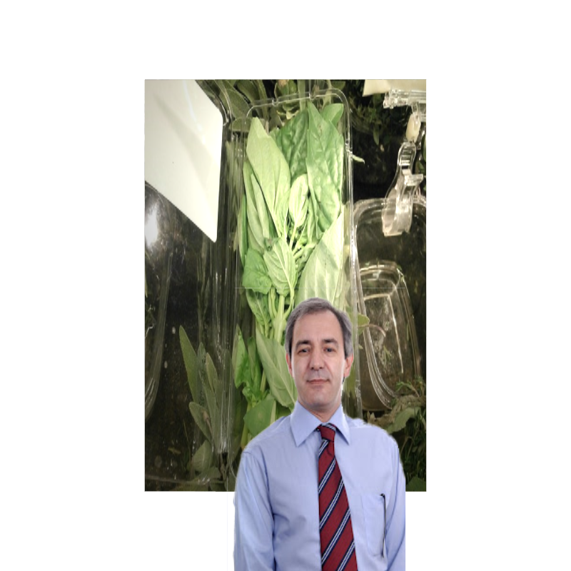 ART BASIL 2022 #6 static token preview