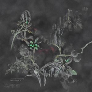 Hauntological Herbarium project preview