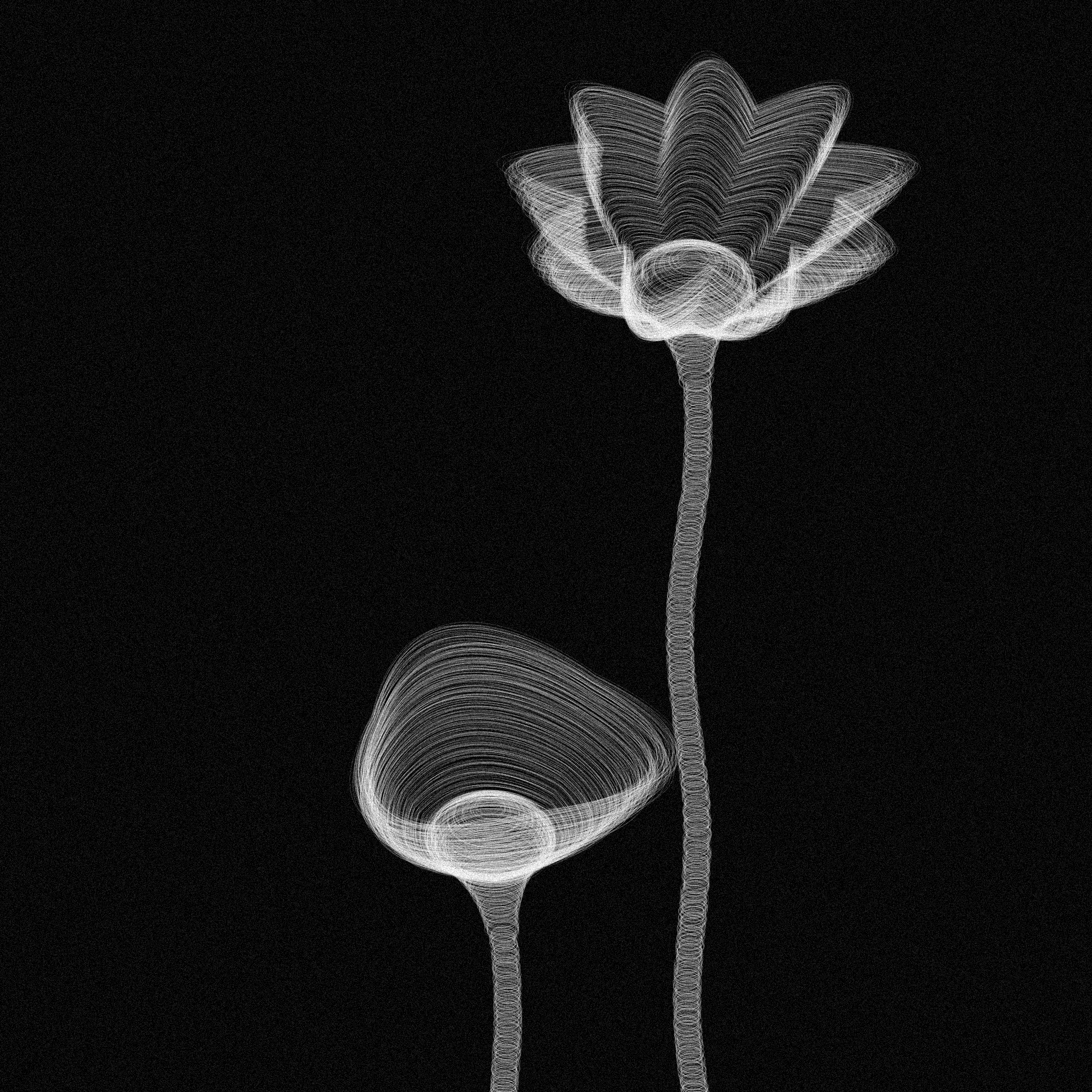 Code Flowers #14 static token preview