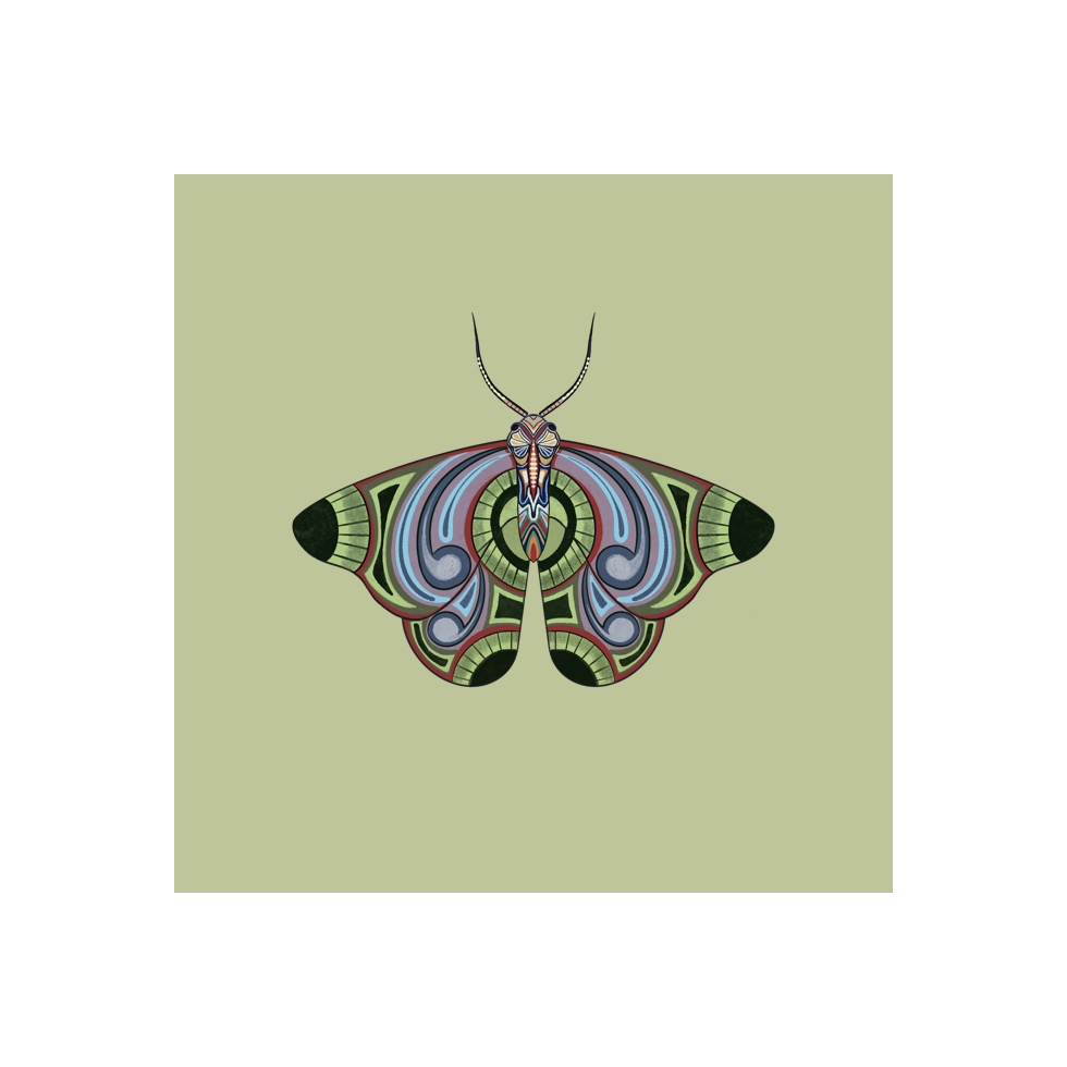 The Moth Experiment #16 static token preview