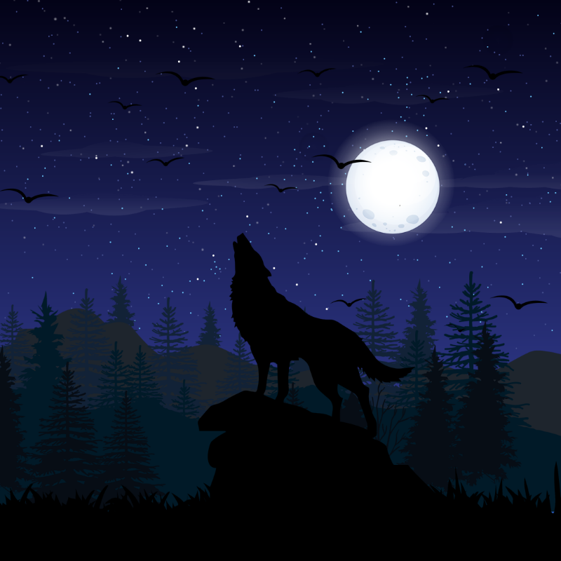We Care...Wolf #4 static token preview