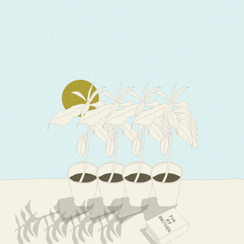 Still Life #12 #1 static token preview