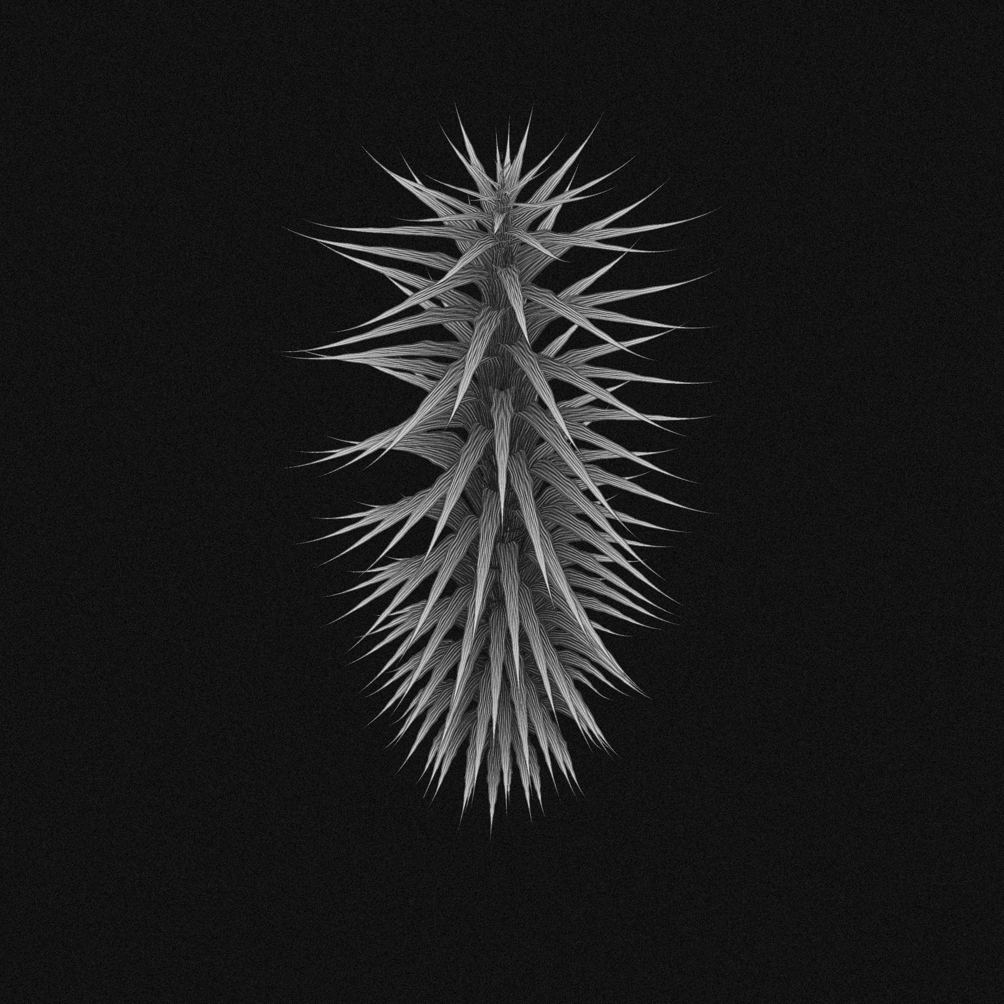 plant #24 static token preview