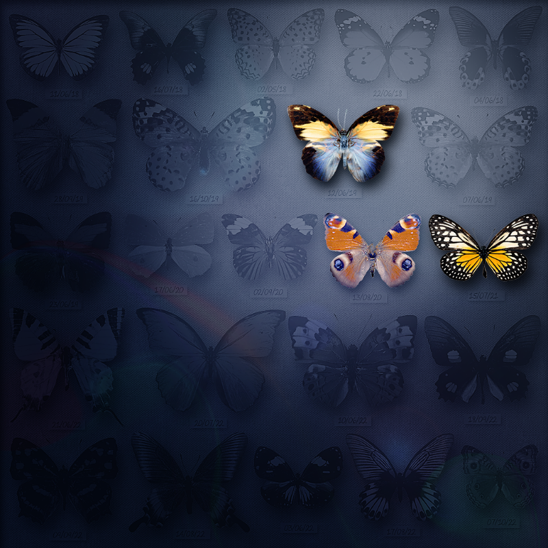 Save Butterfly World #6 static token preview