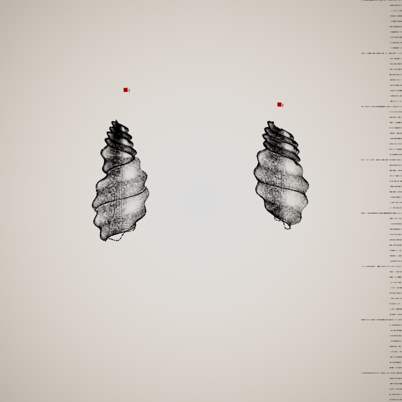 Two Specimen #394 static token preview