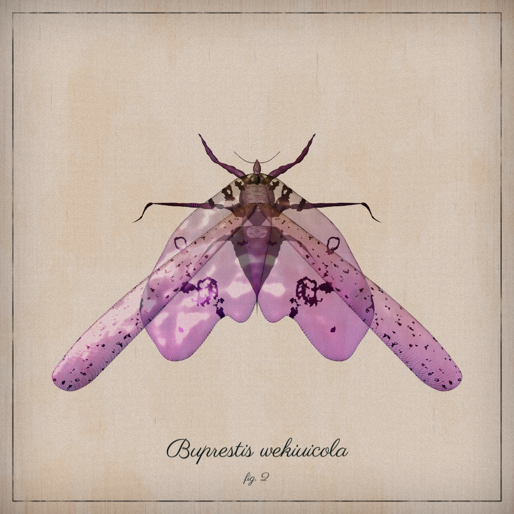 ProcGen Entomology #449 static token preview