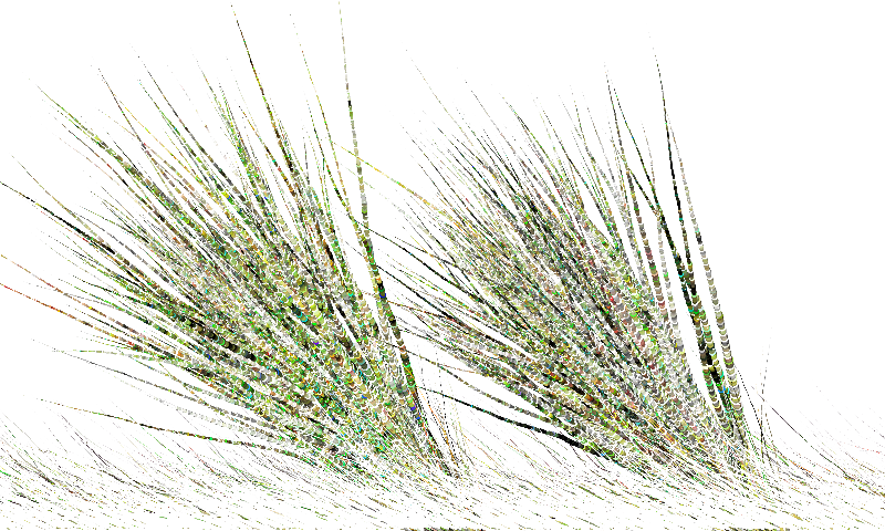 Sketches:Pairs of Tails:Majestic Creatures #3 static token preview