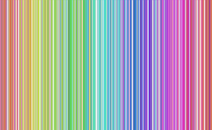 .zebra project preview