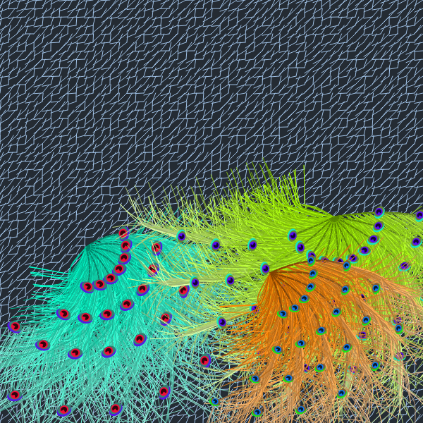 Oriental Peafowl Impression #3 static token preview