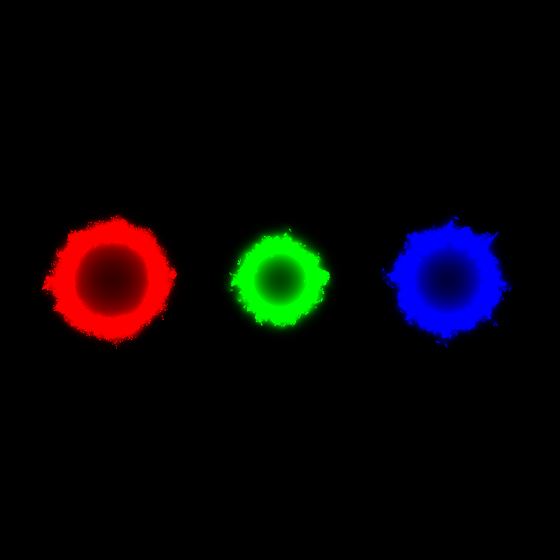 Physarum polycephalum #19 static token preview