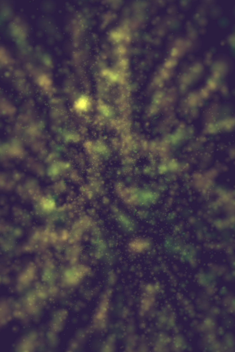 Orchestrated Chaos #26 static token preview