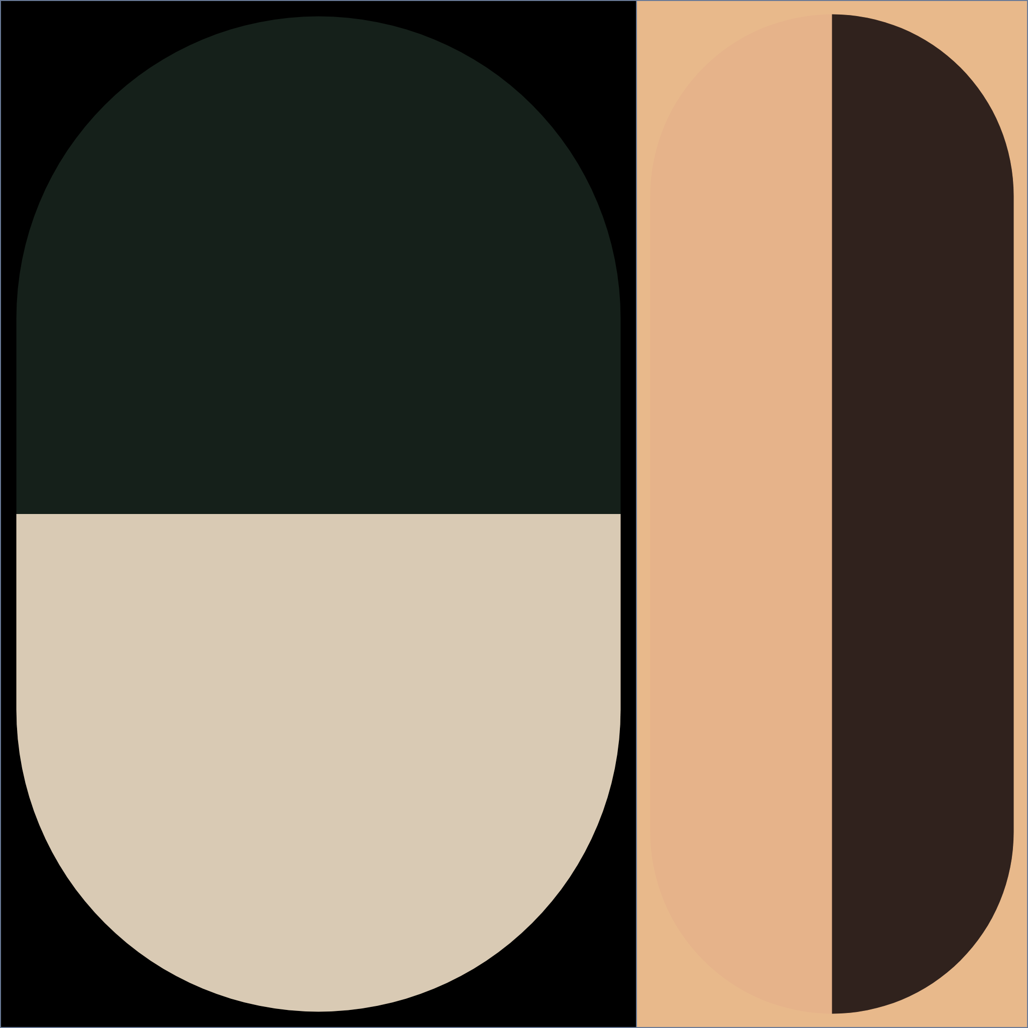 pantonX.2 #5 static token preview
