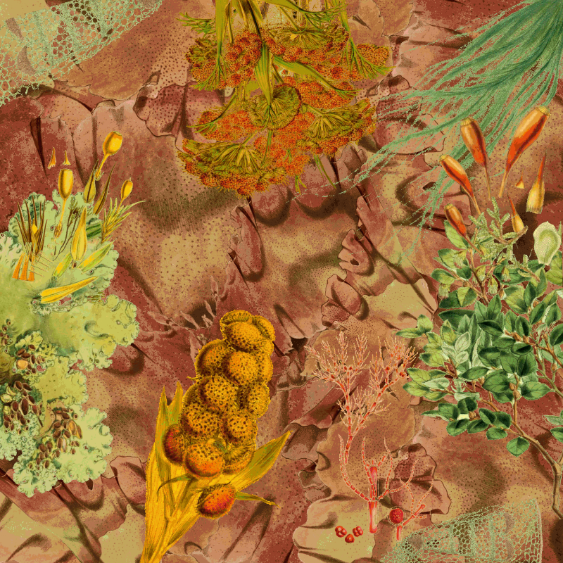 future flora from Antarctica's past #16 static token preview