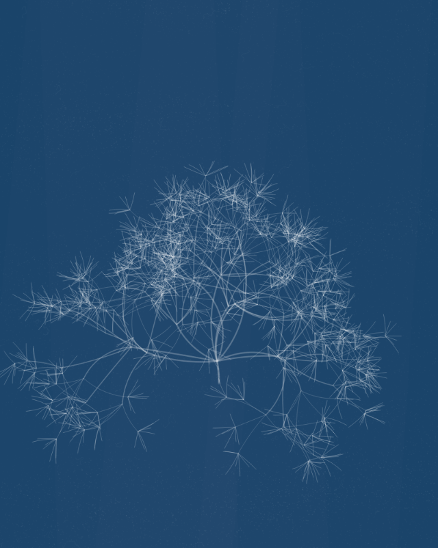 Cyanotypes #4 static token preview