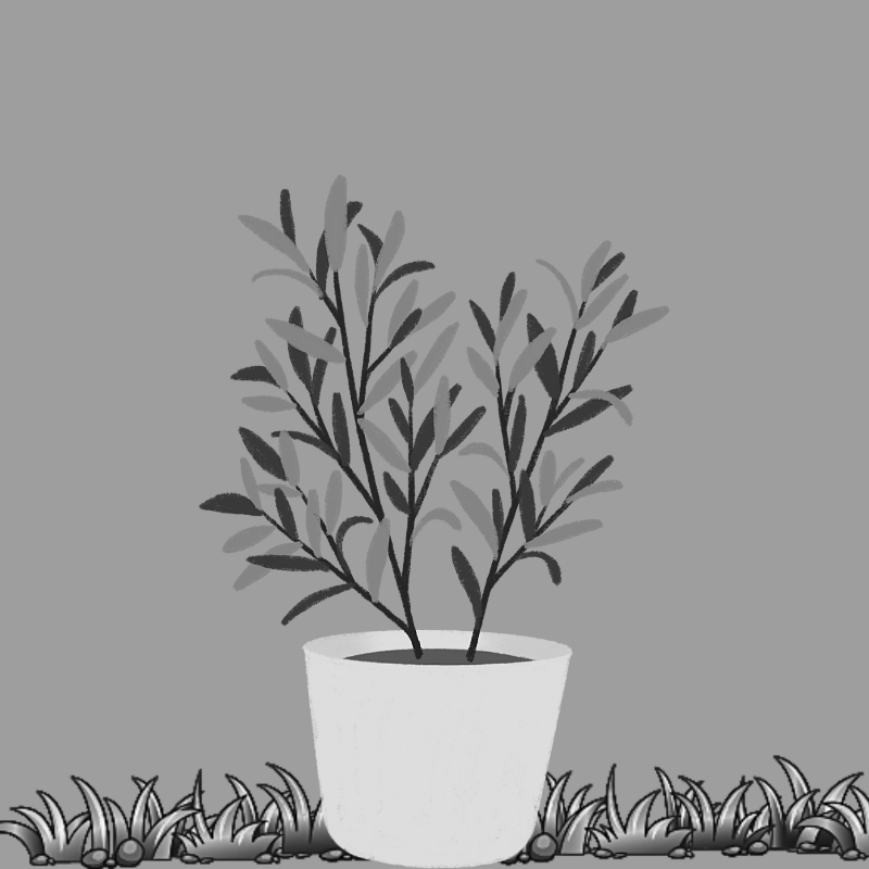 Plants #2 static token preview