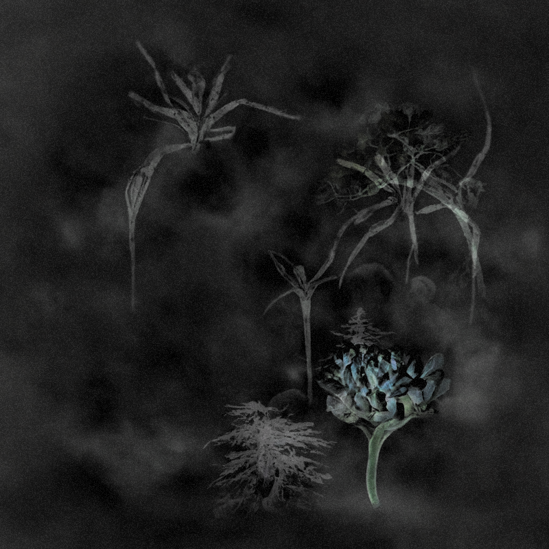 Hauntological Herbarium #53 static token preview