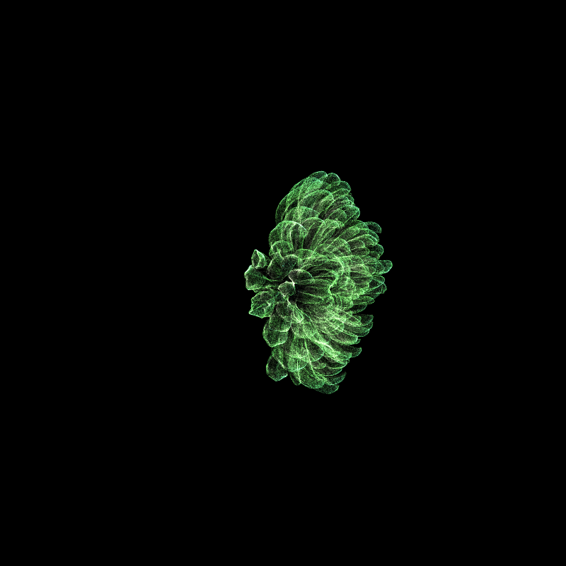 Chrysanthemum Morifolium 30 #2 static token preview