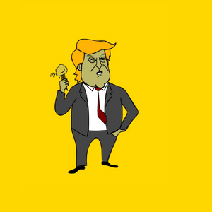 Angry Donald project preview