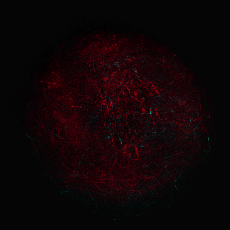 balls in vector fields #13 static token preview