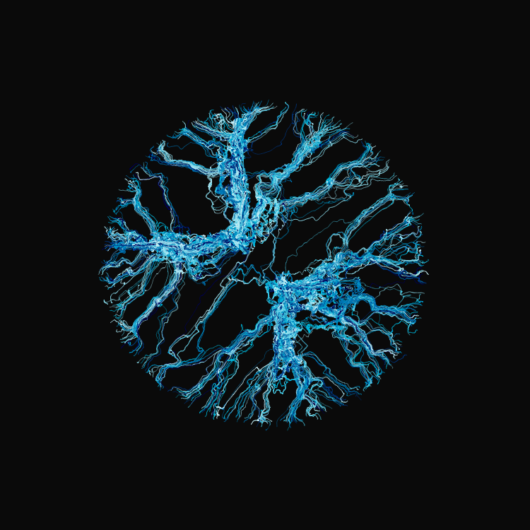 Ginseng #5 static token preview