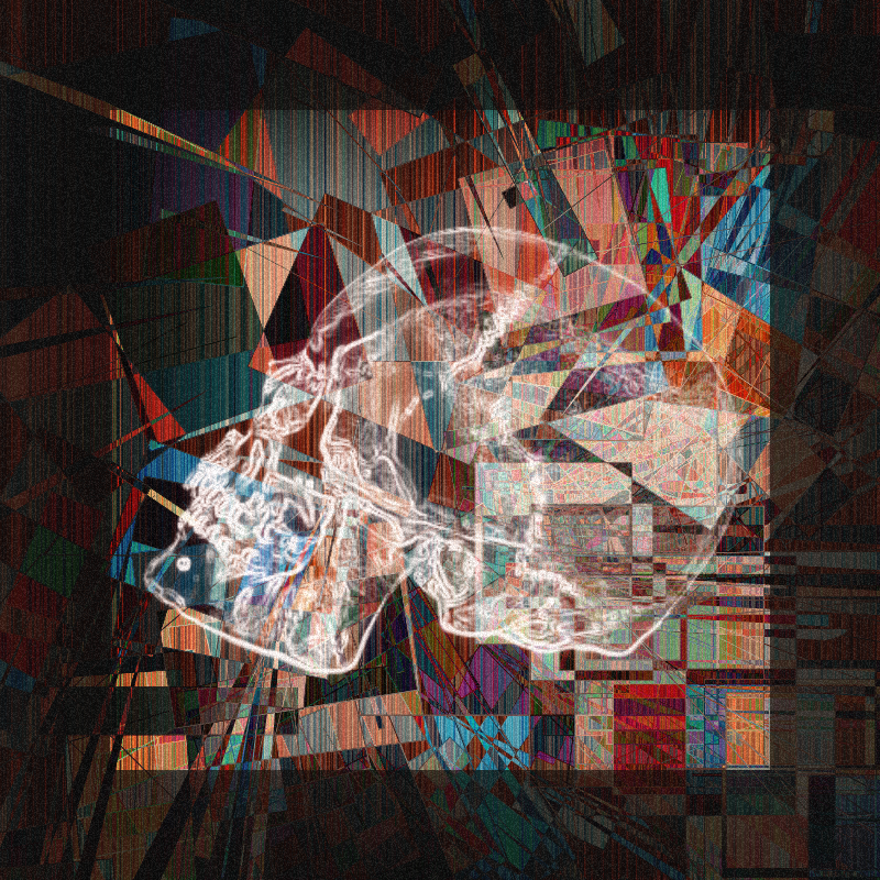 X-ray of a skull #8 static token preview