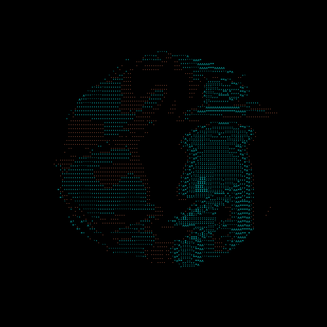 parts of us - ascii #24 static token preview