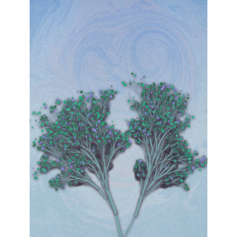 Garden of the Hesperides #12 static token preview