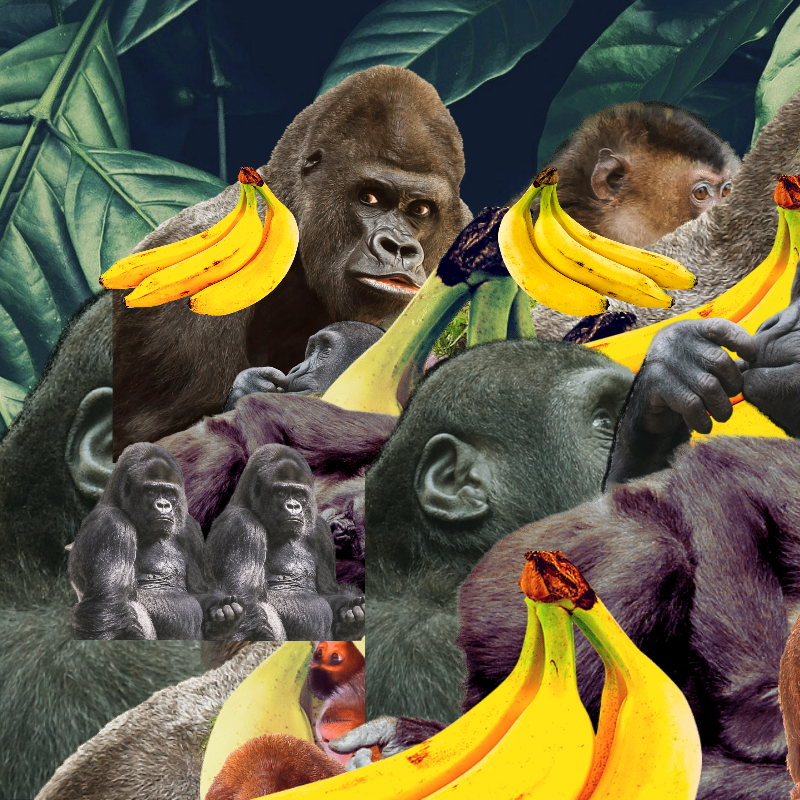 Banana #1 #17 static token preview
