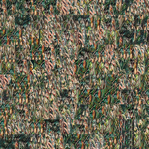 Imaginary forests project preview