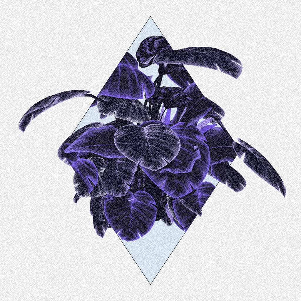 Botany #22 static token preview