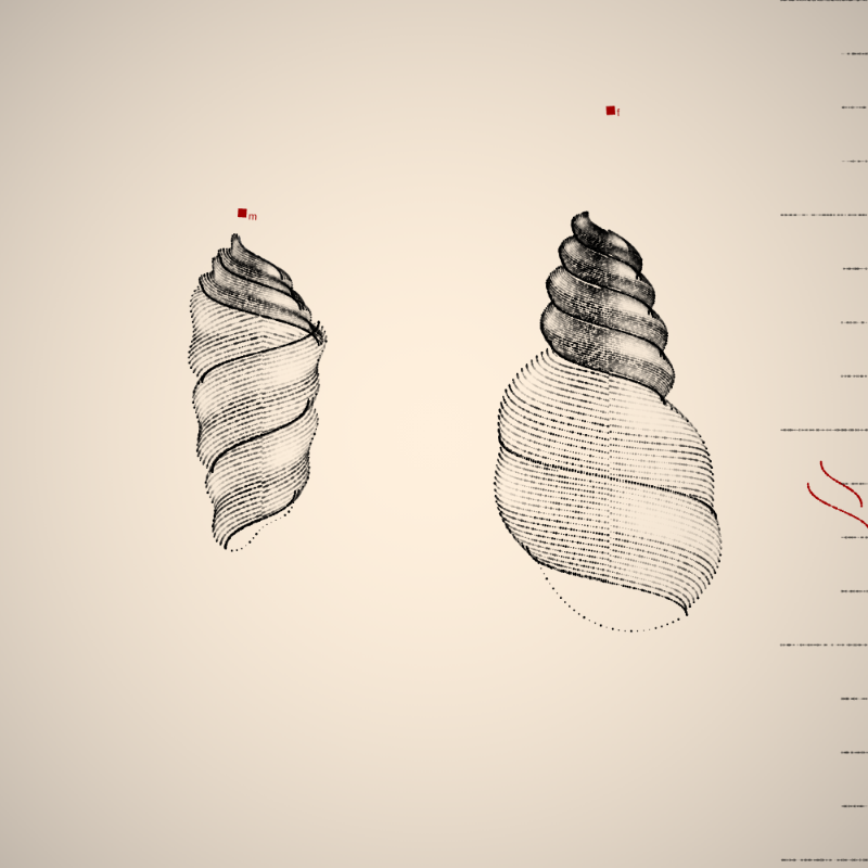 Two Specimen #365 static token preview