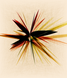Alma de Flor project preview