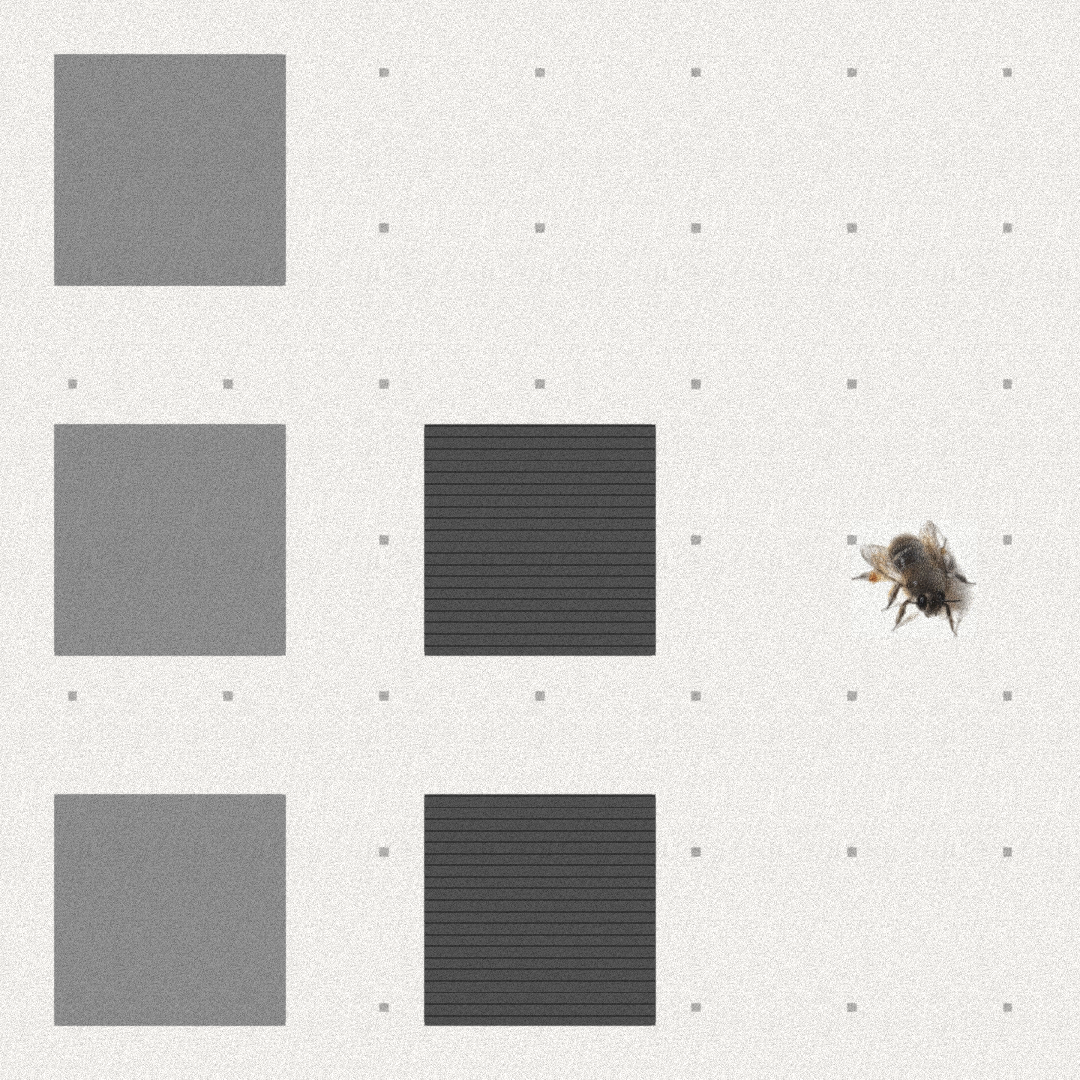 Bee #14 static token preview