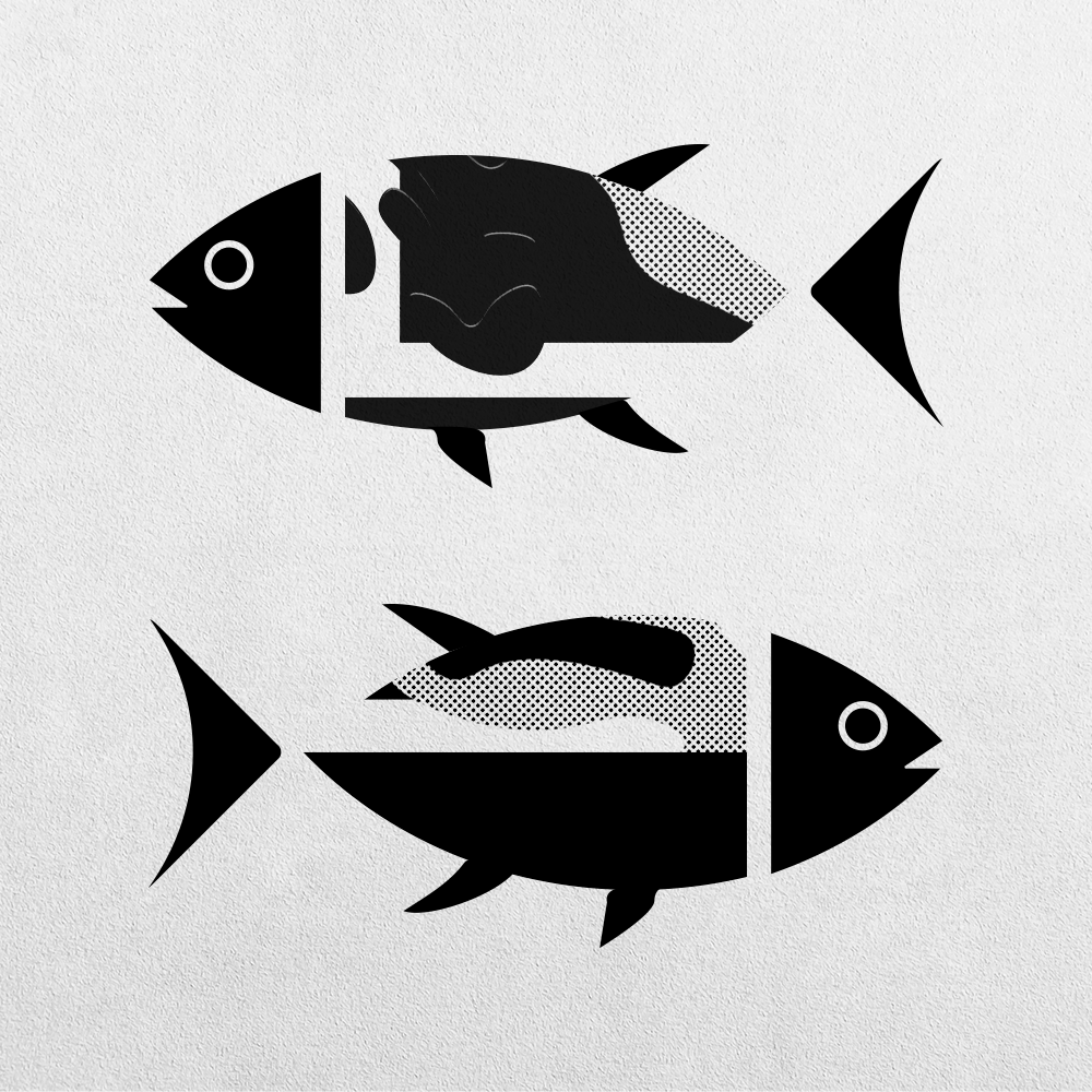 Fish Abstraction #21 static token preview