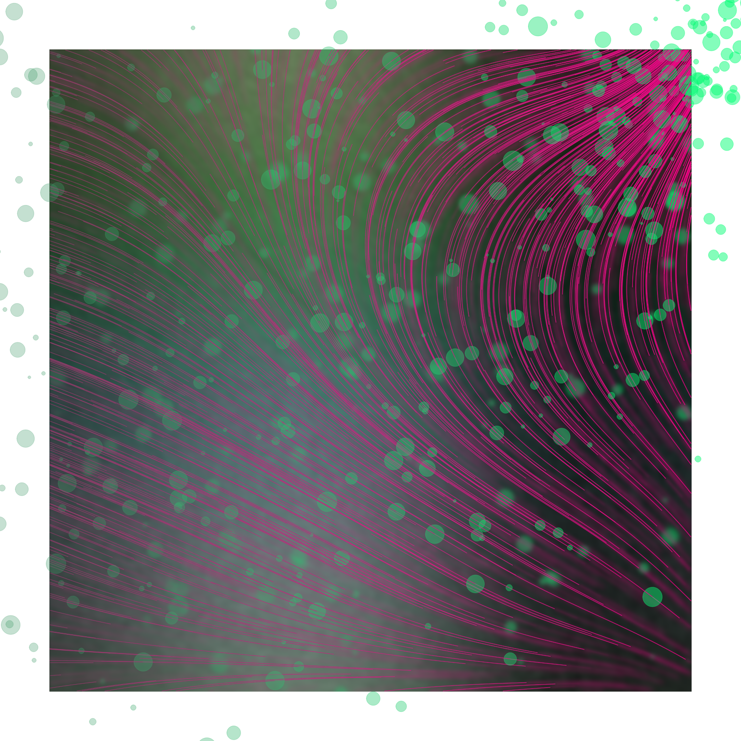 Gentle Force #14 static token preview