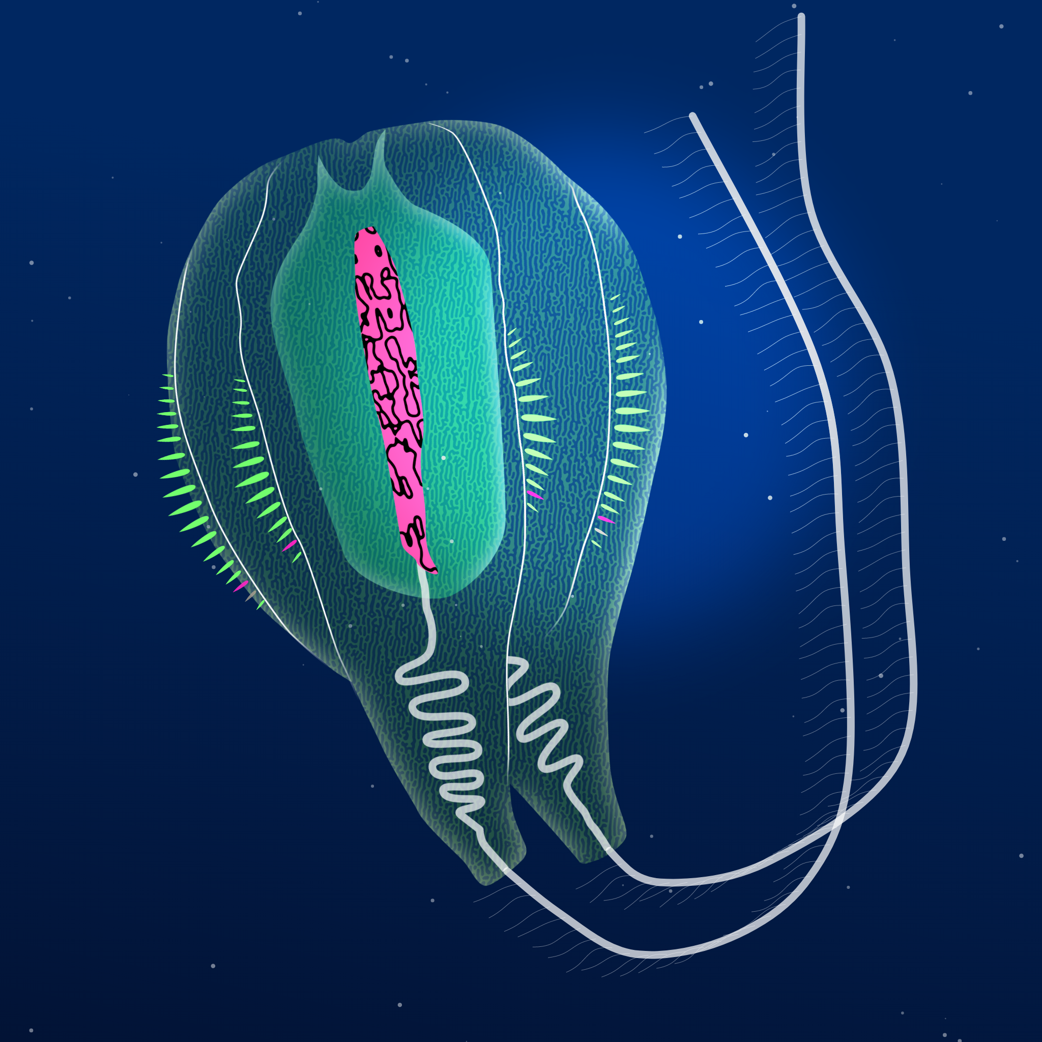 Ctenophores #1 static token preview