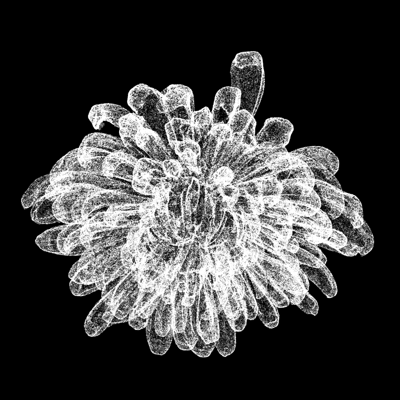 Chrysanthemum Morifolium 30 #21 static token preview