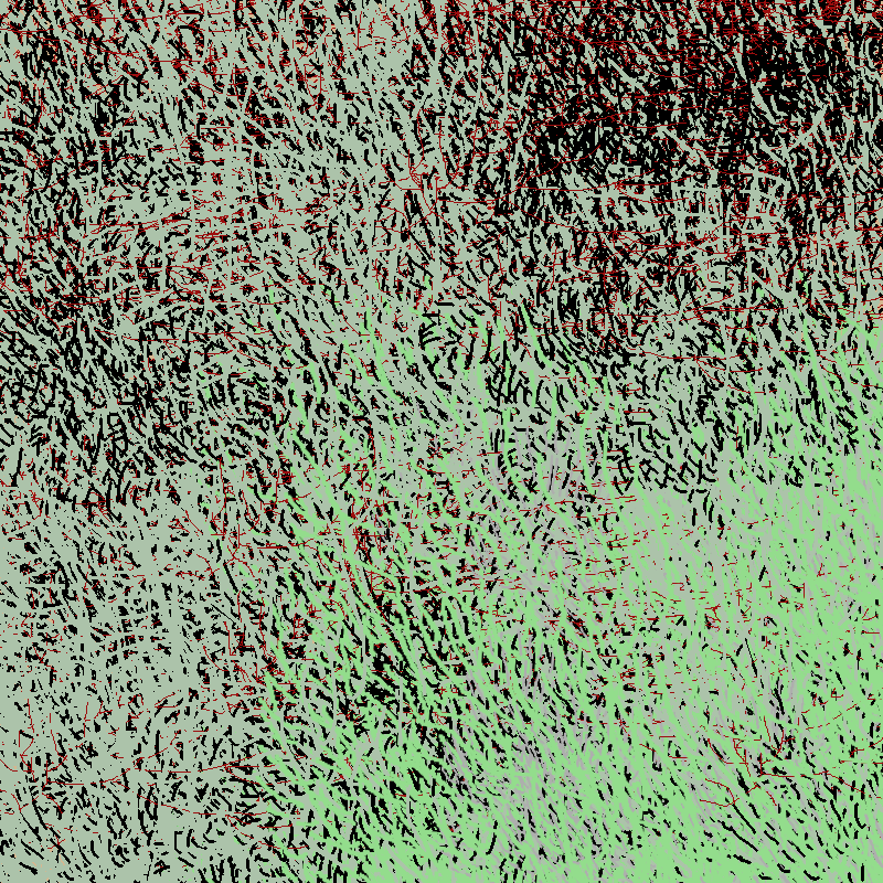 a bird worked on my painting #5 static token preview