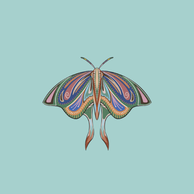 The Moth Experiment 2.0 P2 #14 static token preview