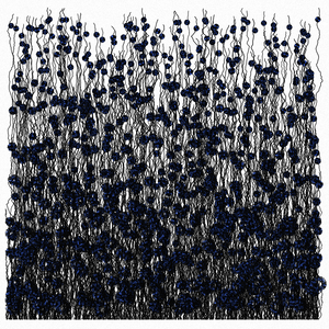 Cornflowers project preview