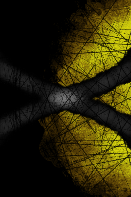I'm an old artist #6 static token preview