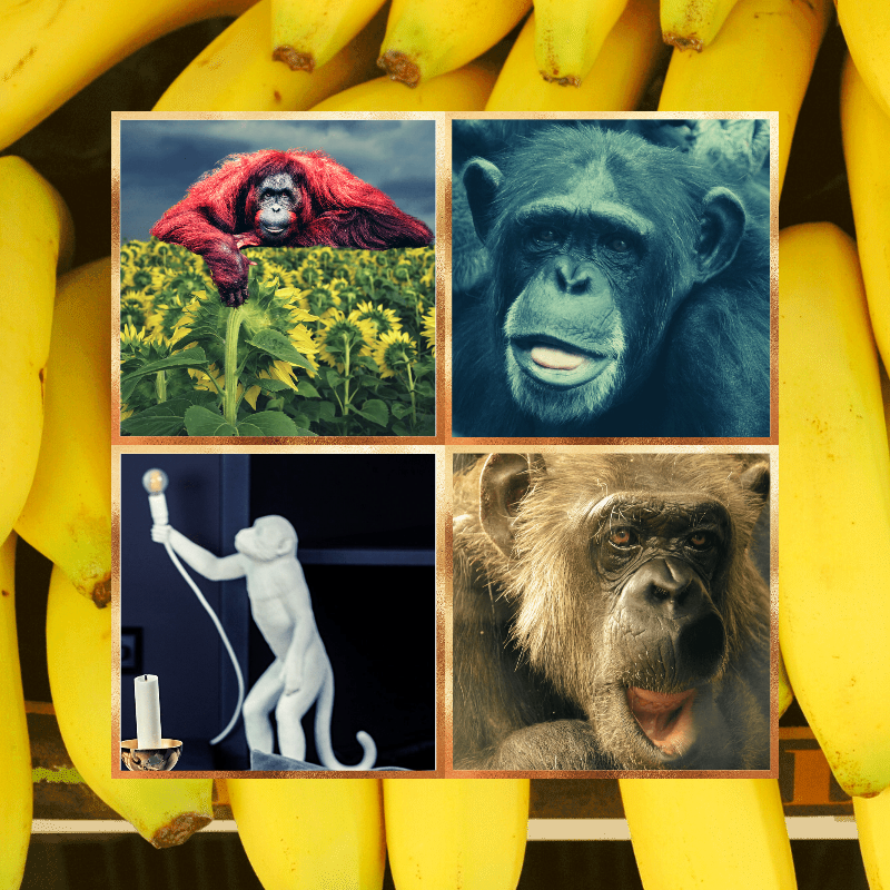 Banana legends #8 static token preview